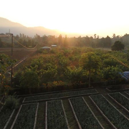 Forest Side Farm - Homestay At Kotabagh Near Nainital And Jim Corbett Exteriér fotografie