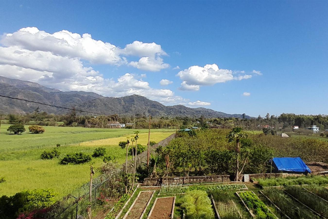 Forest Side Farm - Homestay At Kotabagh Near Nainital And Jim Corbett Exteriér fotografie